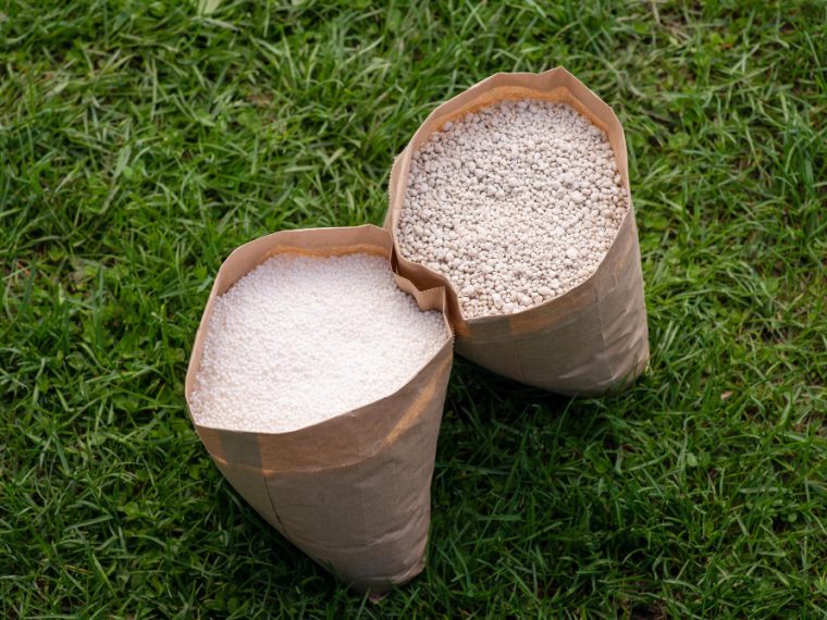 bienfaits et utilisations de la terre de diatomée alimentaire pour la santé