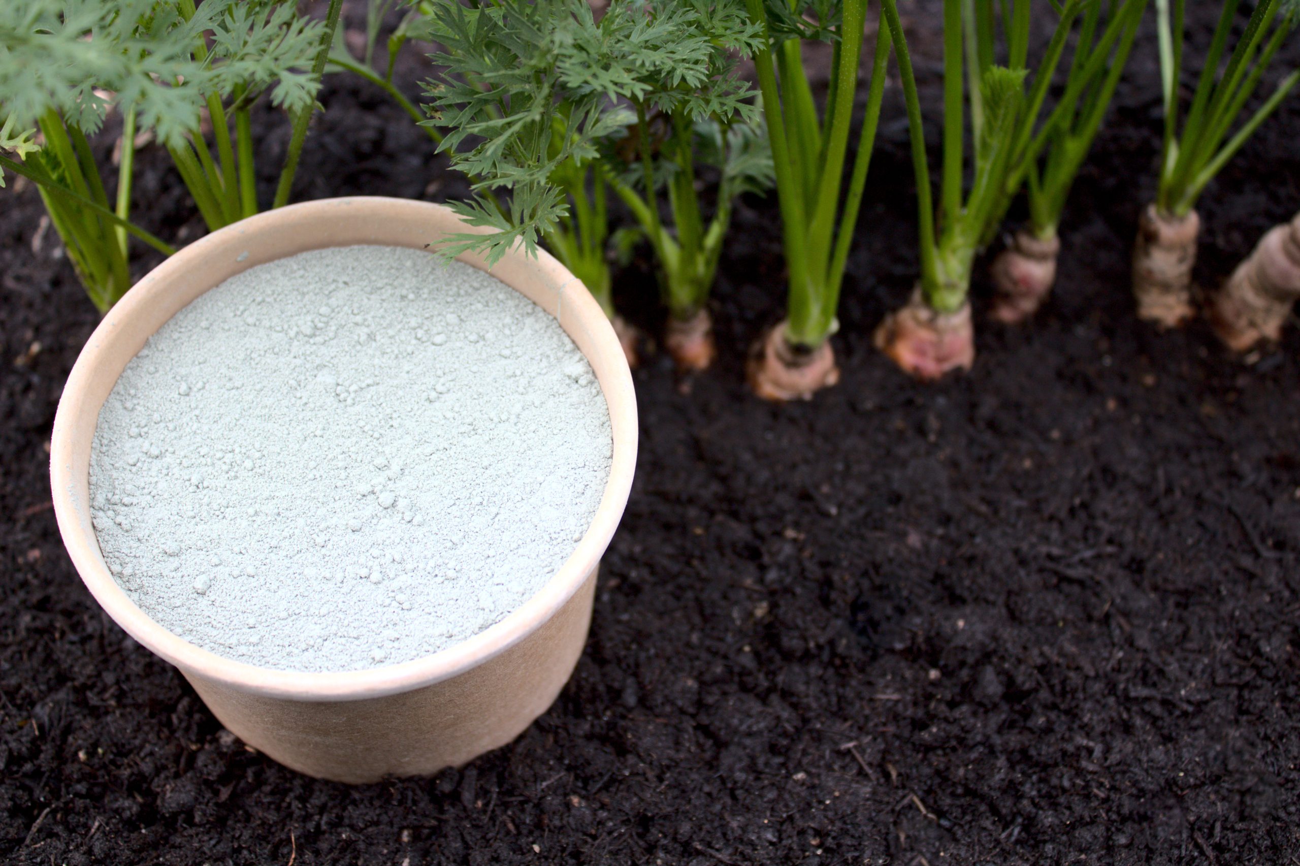  la terre de diatomée alimentaire pour la santé